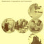 Social Capital and Welfare Reform: Organizations, Congregations, and Communities