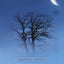 A Witch Alone: Thirteen moons to master natural magic