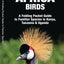 East Africa Birds: A Folding Pocket Guide to Familiar Species in Kenya, Tanzania & Uganda (Wildlife and Nature Identification)