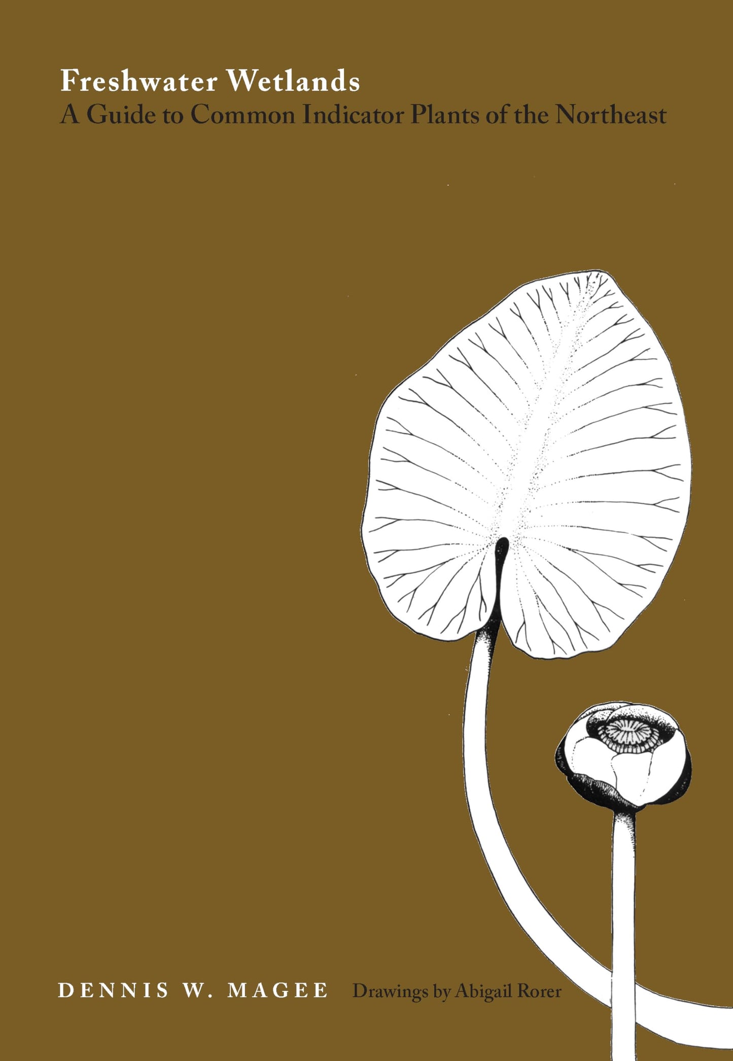Freshwater Wetlands : A Guide to Common Indicator Plants of the Northeast