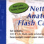 Netter's Anatomy Flash Cards