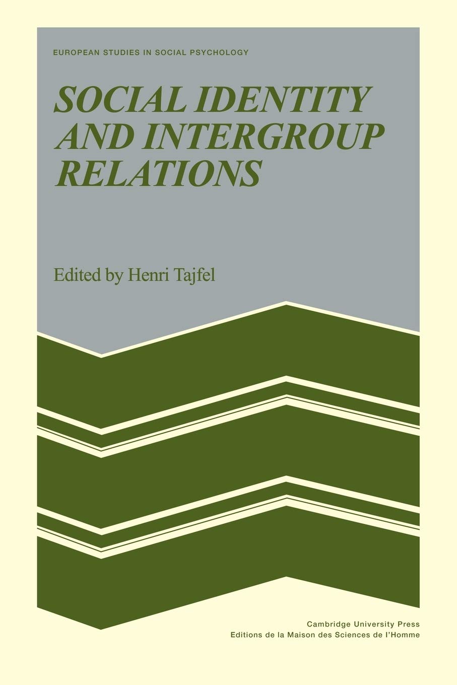 Social Identity and Intergroup Relations (European Studies in Social Psychology, Series Number 7)