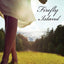 Firefly Island: A Small Town New in Town Romance with Mystery