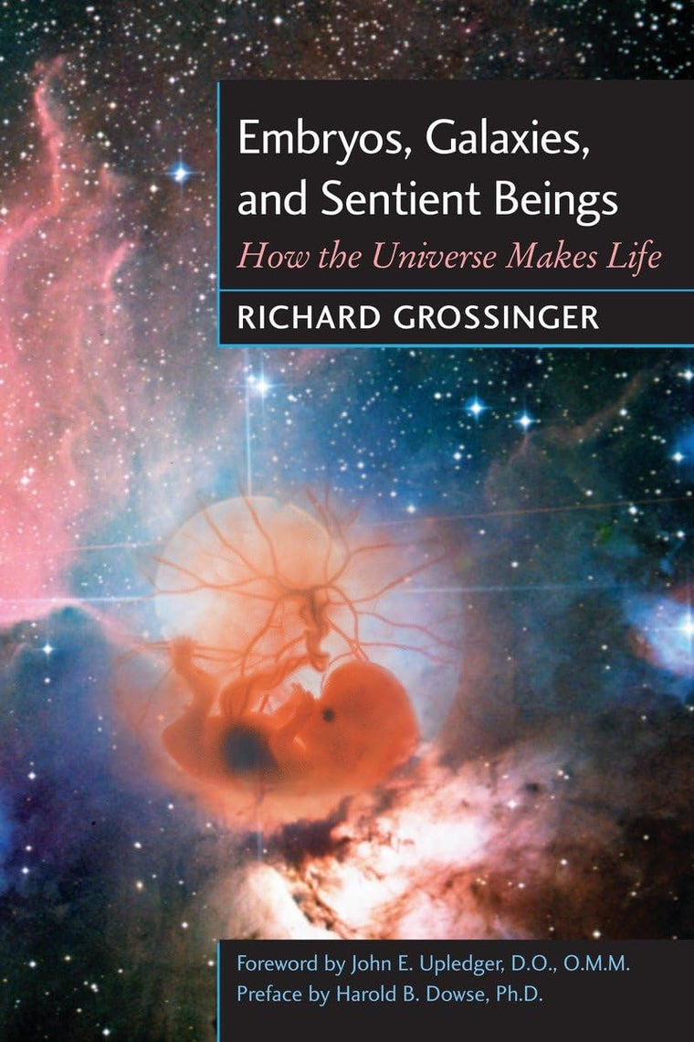 Embryos, Galaxies, and Sentient Beings: How the Universe Mak