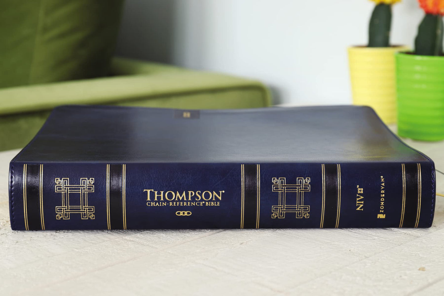 NIV, Thompson Chain-Reference Bible, Large Print, Leathersof