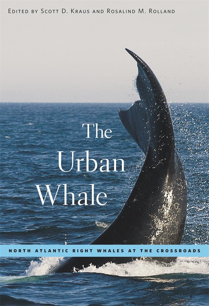 The Urban Whale: North Atlantic Right Whales at the Crossroads
