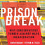 Prison Break: Why Conservatives Turned Against Mass Incarceration (Studies in Postwar American Political Development)