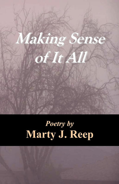 Making Sense of It All