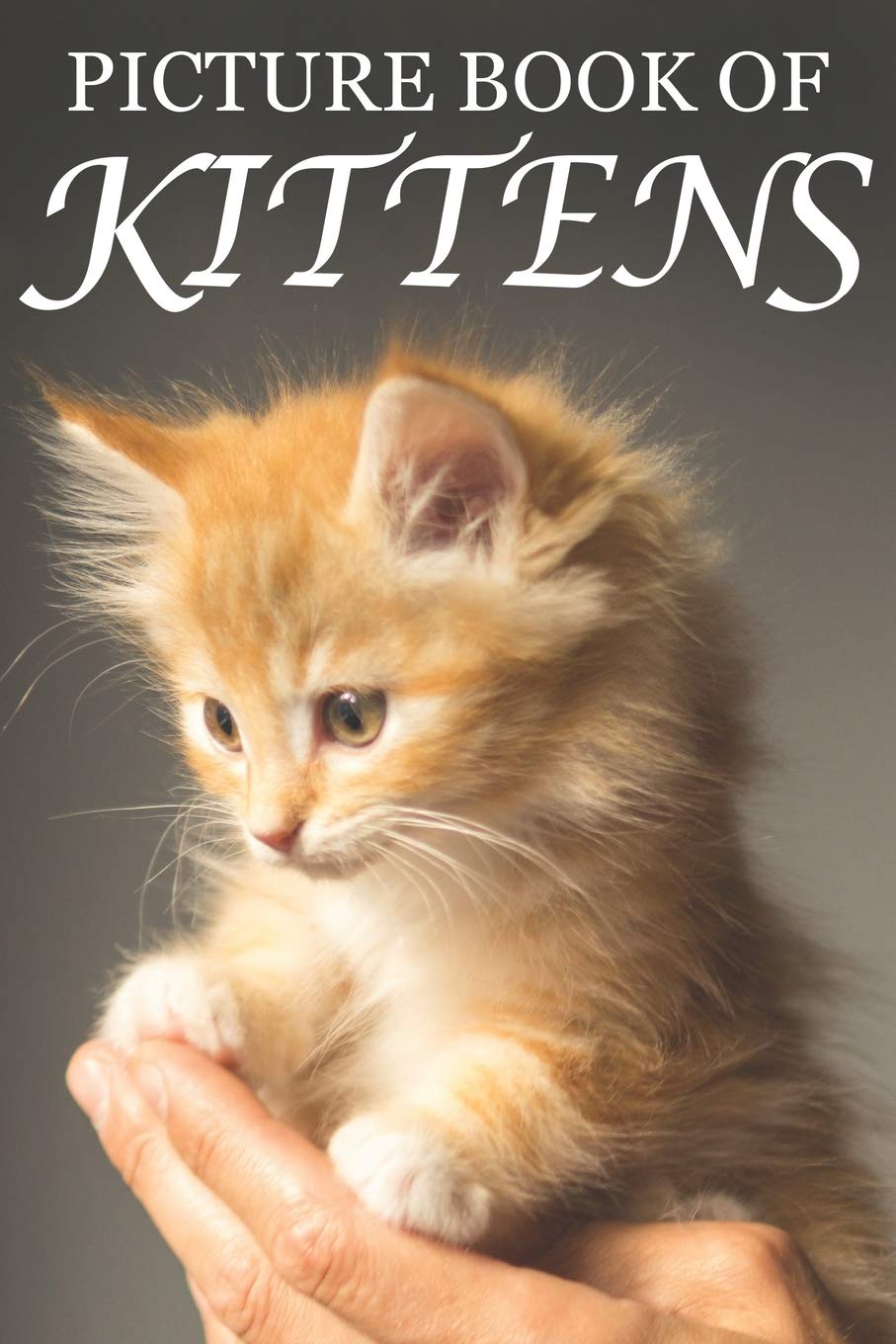 Picture Book of Kittens: Picture Book of Kittens: For Seniors with Dementia [Cute Picture Books] (Picture Books of Animals for People with Dimentia)