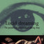 Lucid Dreaming