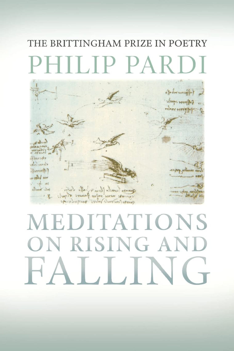 Meditations on Rising and Falling: Meditations on Rising and Falling (Wisconsin Poetry Series)