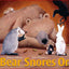 Bear Snores On (The Bear Books) by Karma Wilson