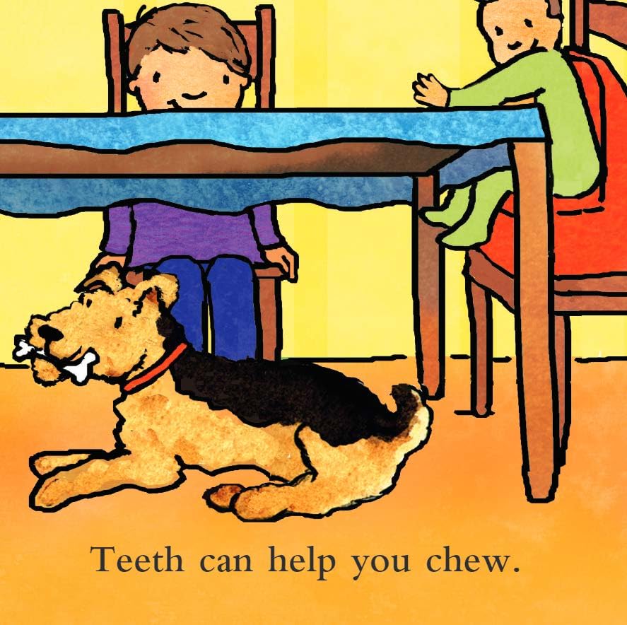 Teeth Are Not for Biting Board Book (Best Behavior Series)
