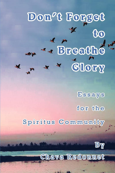 Don't Forget to Breathe Glory: Essays for the Spiritus Community