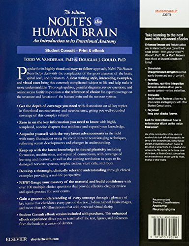 Nolte's The Human Brain: An Introduction to its Functional Anatomy