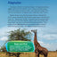 Adaptations (Science Readers: Content and Literacy)