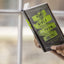NIV, Bible for Teen Guys, Hardcover: Building Faith, Wisdom