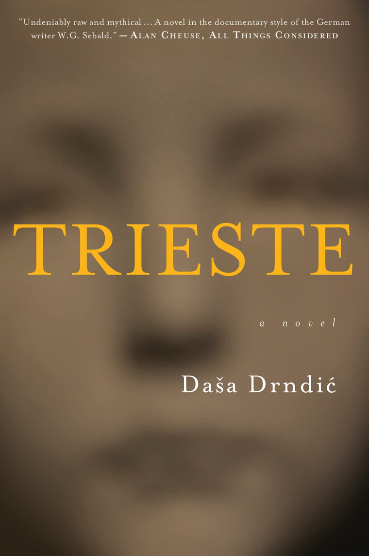 Trieste: A Haunting Literary Novel of the Holocaust - A Mother's Search in Nazi-Occupied Italy