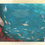 The Fish Who Found the Sea