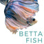 Betta Fish: The Simple Guide to Caring for Your Magical Betta