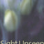 Sight Unseen