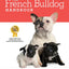 The French Bulldog Handbook: The Essential Guide for New and Prospective French Bulldog Owners (Canine Handbooks)