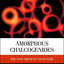 Amorphous Chalcogenides: The Past, Present and Future