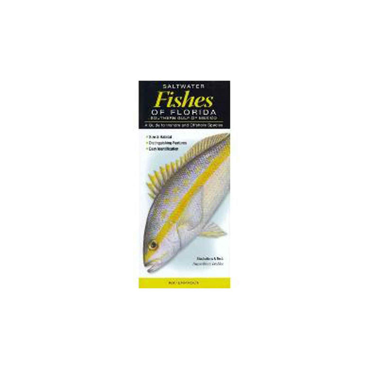 Saltwater Fishes of Florida-Southern Gulf of Mexico: A Guide to Inshore & Offshore Species