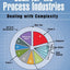 Lean for the Process Industries