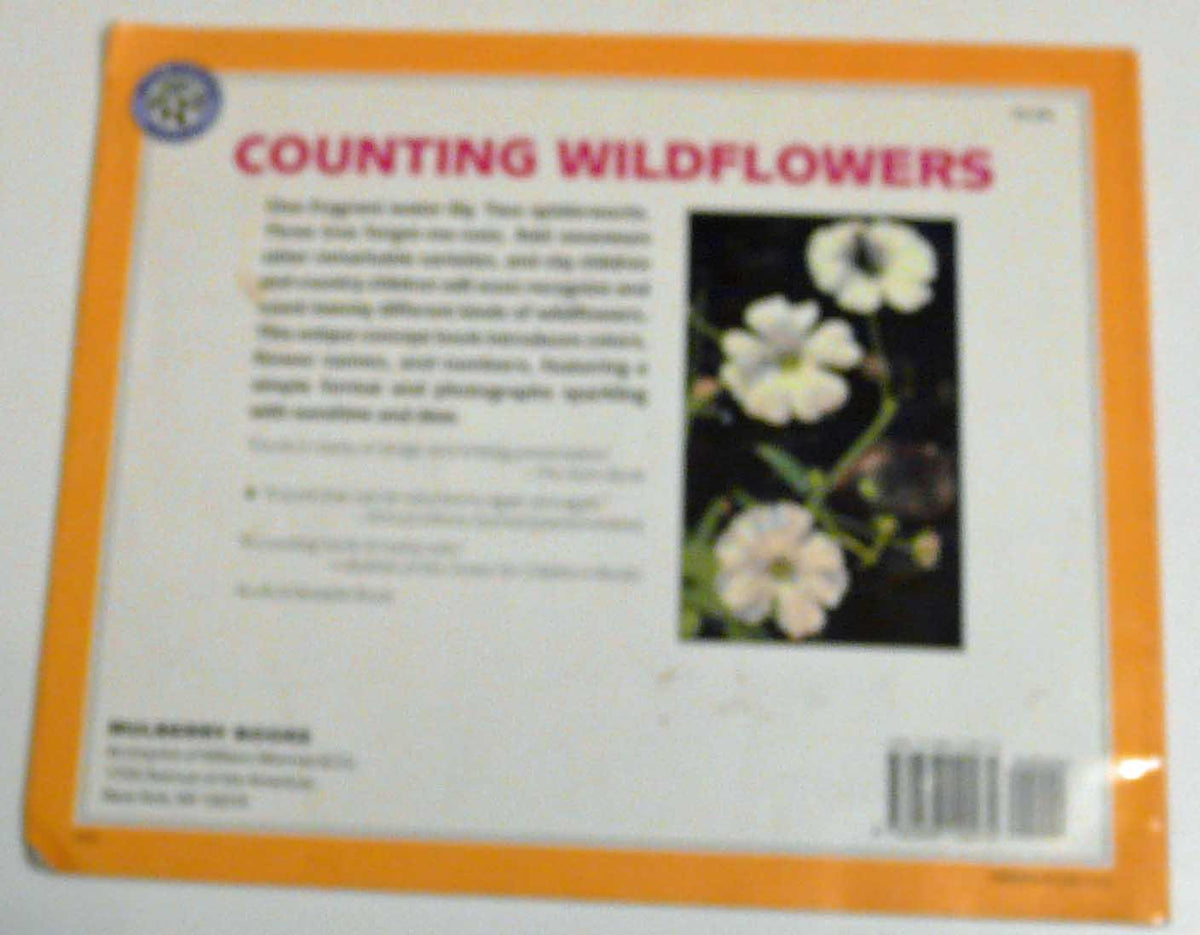 Counting Wildflowers