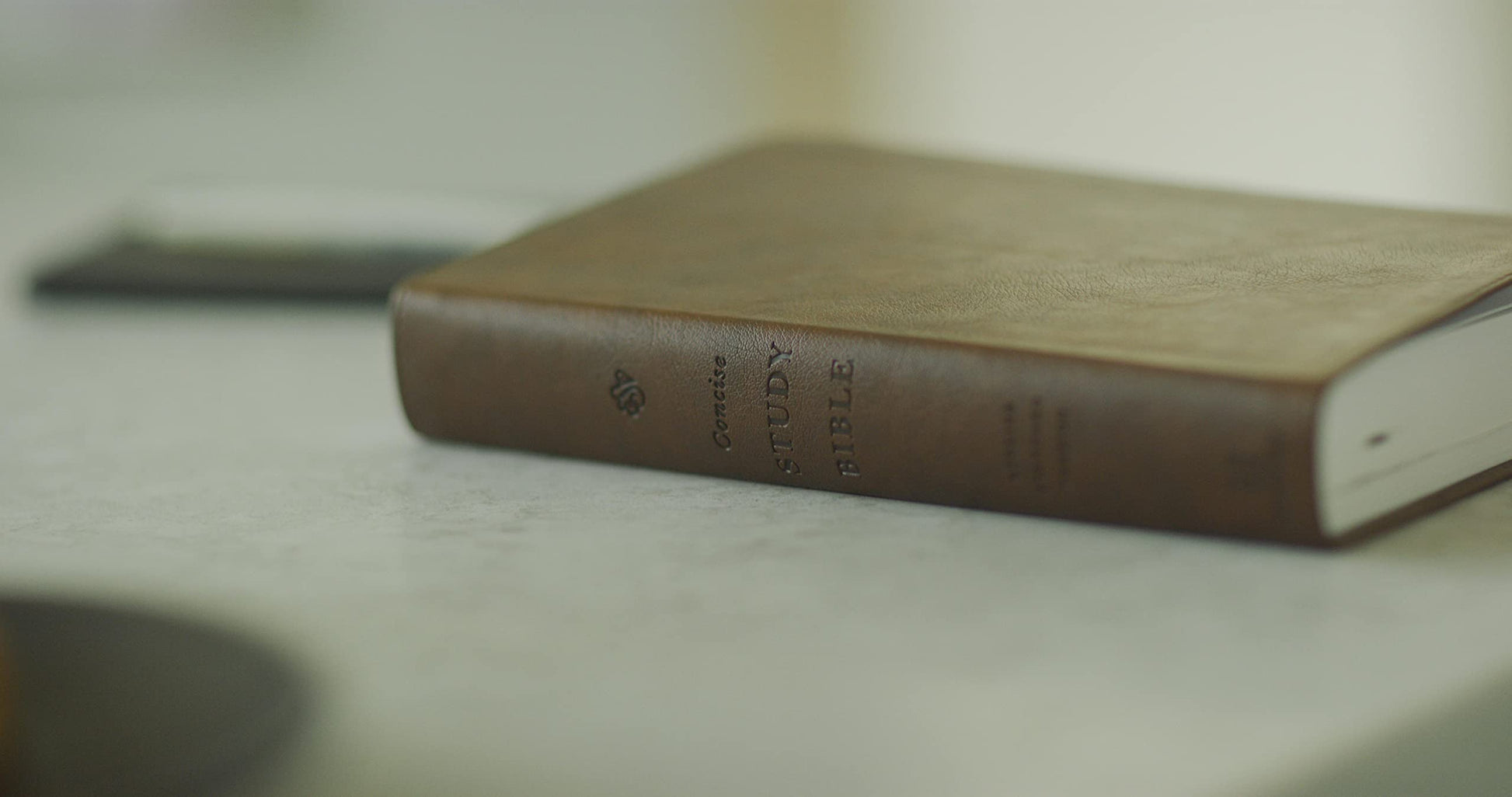 ESV Concise Study Bible (TruTone, Brown): Holy Bible, English Standard Version