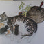 A Kindle of Kittens by Rumer Godden