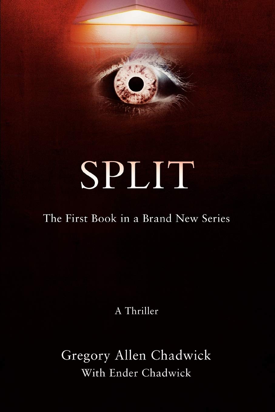 SPLIT: The First Book in a Brand New Series