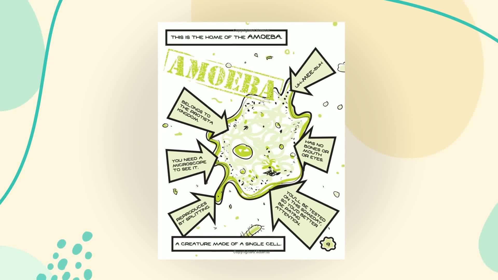 Squish #1: Super Amoeba