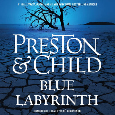 Blue Labyrinth (Agent Pendergast Series, 14)