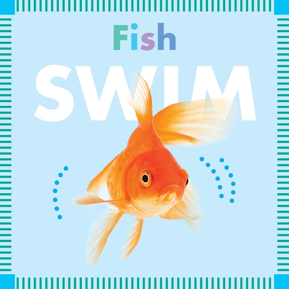 Fish Swim (Amicus Ink Board Books)