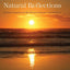 Natural Reflections: Human Cognition at the Nexus of Science and Religion (The Terry Lectures Series)