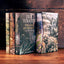 The Hobbit & The Lord of the Rings Boxed Set: Illustrated ed