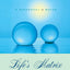 Life's Matrix: A Biography of Water