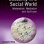 Causality in a Social World: Moderation, Mediation and Spill-over