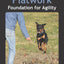 Flatwork: Foundation for Agility