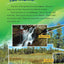 Regions and Rivers of Georgia (Social Studies Readers)