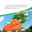 Inside a Plant (Science Readers: Content and Literacy)