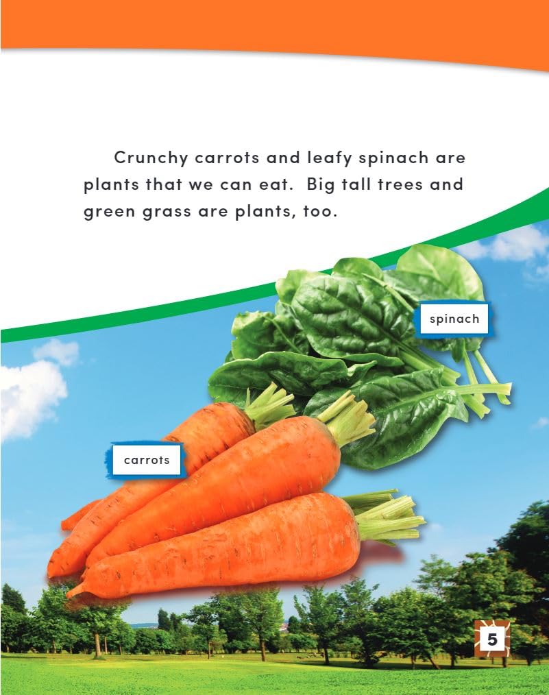 Inside a Plant (Science Readers: Content and Literacy)