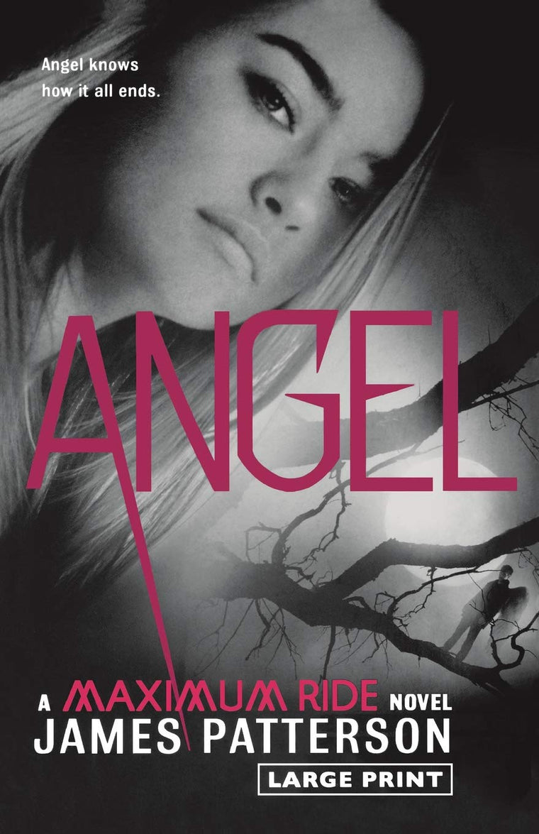 Angel: A Maximum Ride Novel (Maximum Ride, 7)