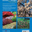 Trees, Shrubs & Hedges for Your Home: Secrets for Selection and Care (Creative Homeowner) 1,000+ Plant Descriptions and 550 Photos - Design Your Landscape and Enhance Your Outdoor Space (Landscaping)