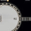 Hal Leonard Tenor Banjo Method