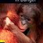 Oxford Bookworms Factfiles: Animals in Danger: Level 1: 400-Word Vocabulary