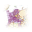 Poland Map (National Geographic Adventure Map, 3330)