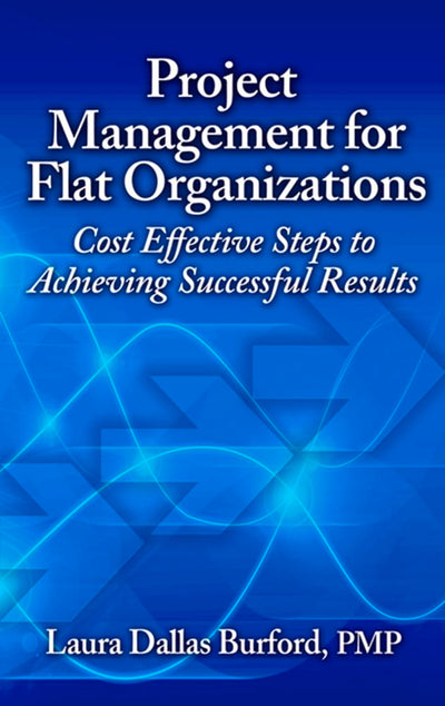 Project Management for Flat Organizations: Cost Effective Steps to Achieving Successful Results